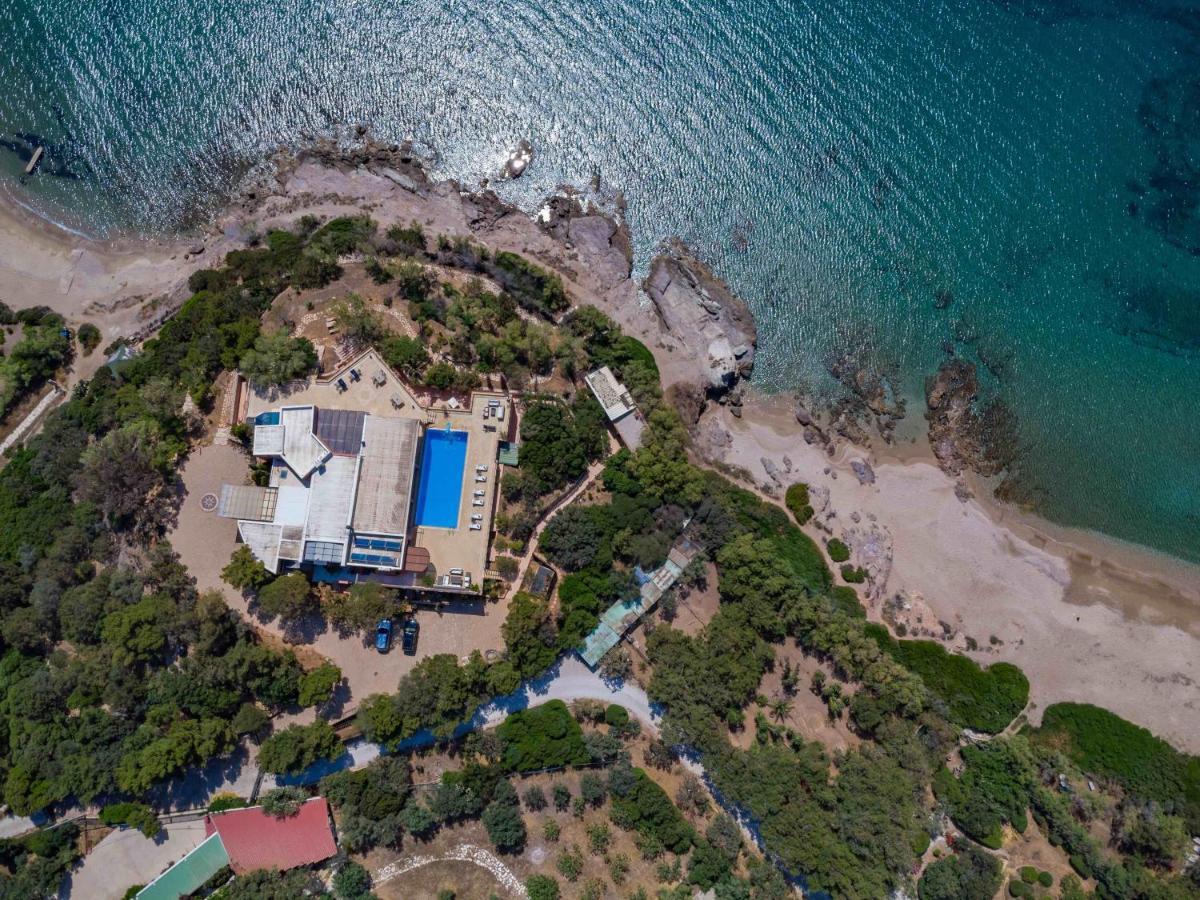 Black Diamond Beachfront Pool Villa Pasithea In Sounio, Athens 苏尼翁 外观 照片