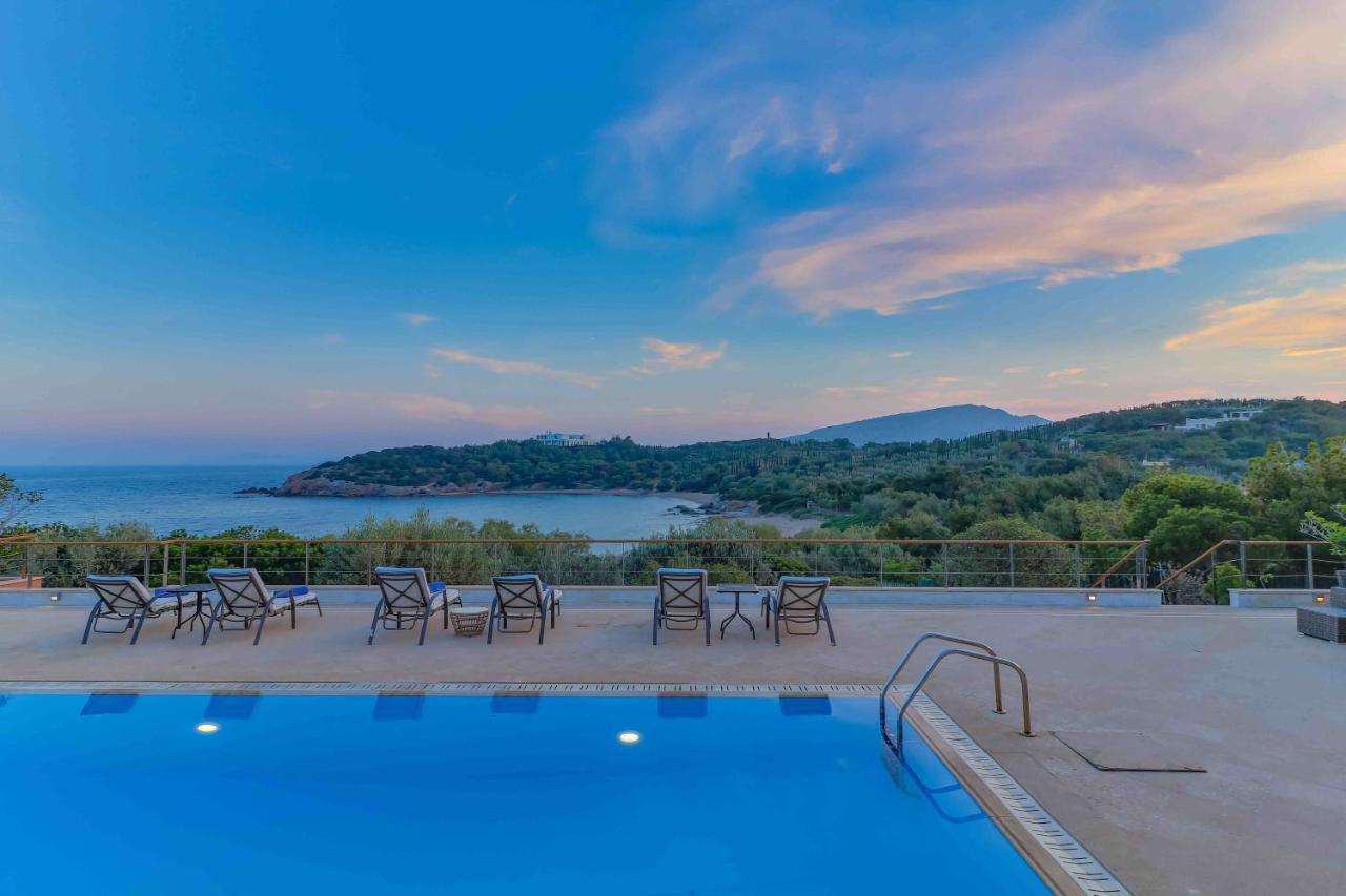Black Diamond Beachfront Pool Villa Pasithea In Sounio, Athens 苏尼翁 外观 照片