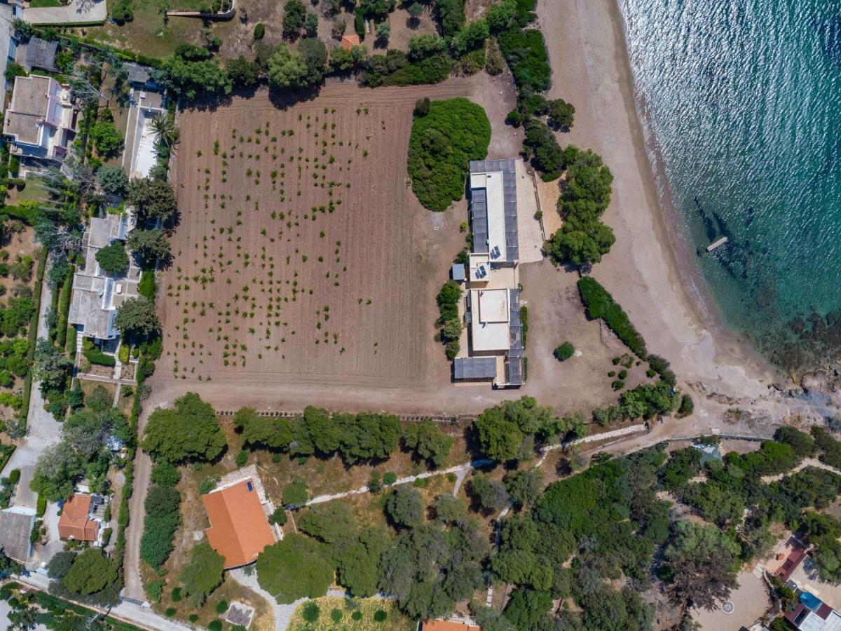 Black Diamond Beachfront Pool Villa Pasithea In Sounio, Athens 苏尼翁 外观 照片